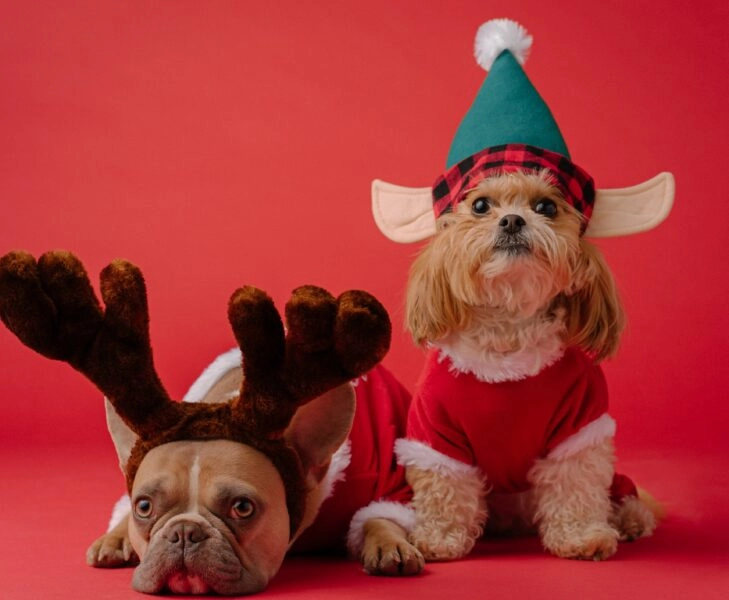 gestion-emocional-navidad consejos para estar bien en navidad